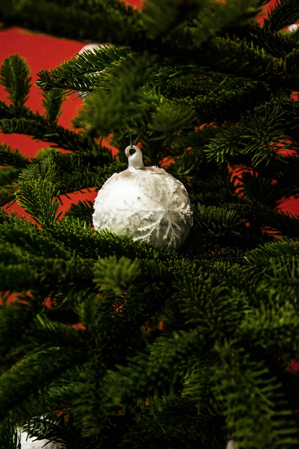 white bauble hanging on green tree