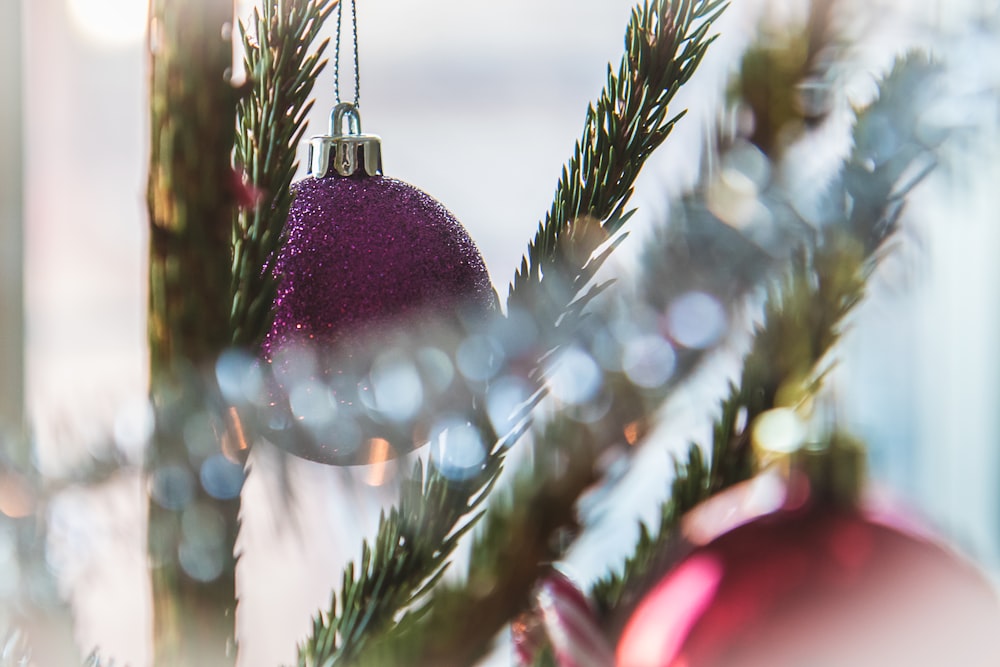 shallow focus photography of purple baubles