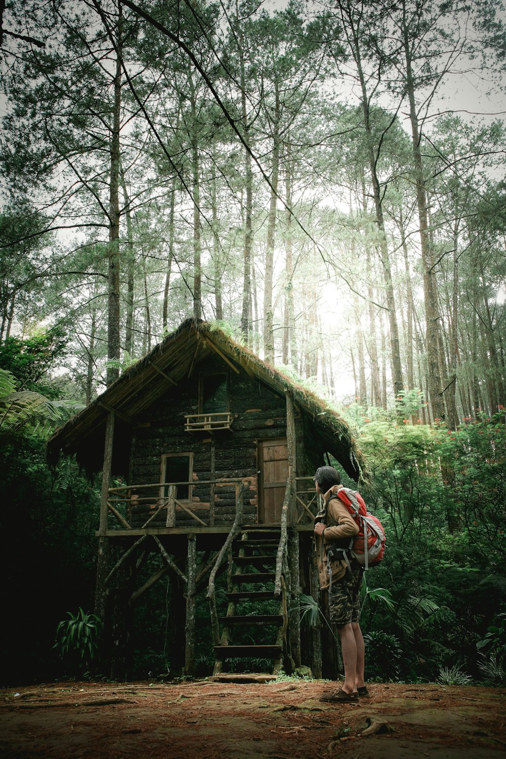 小屋近くの森の真ん中に立つ登山家