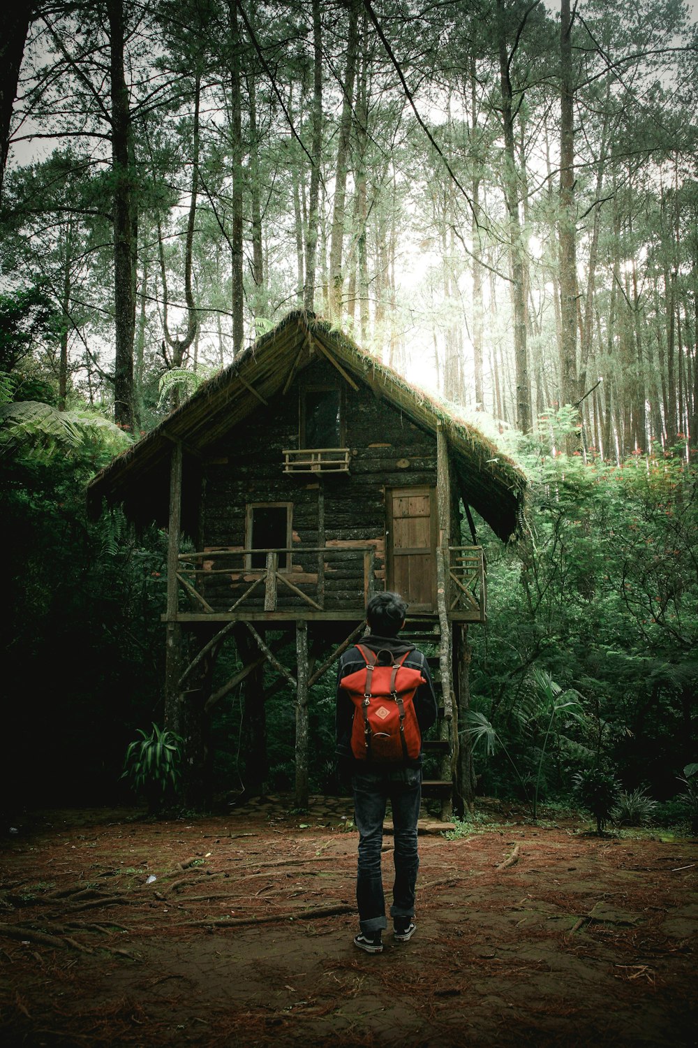 숲에 위치하는 집 앞에 서 있는 사람