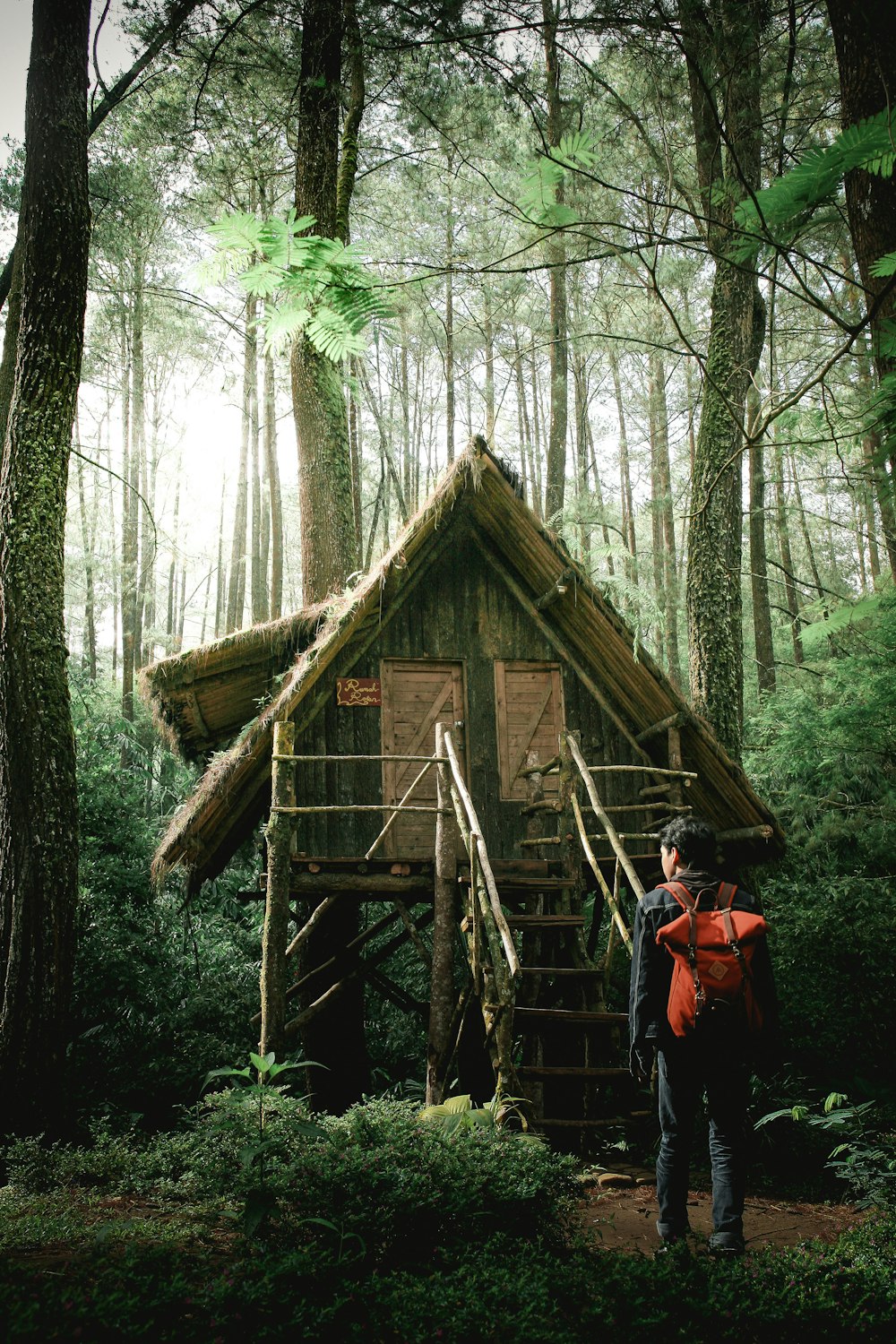 Foto dell'uomo in piedi di fronte al bungalow di legno verde nel mezzo della foresta