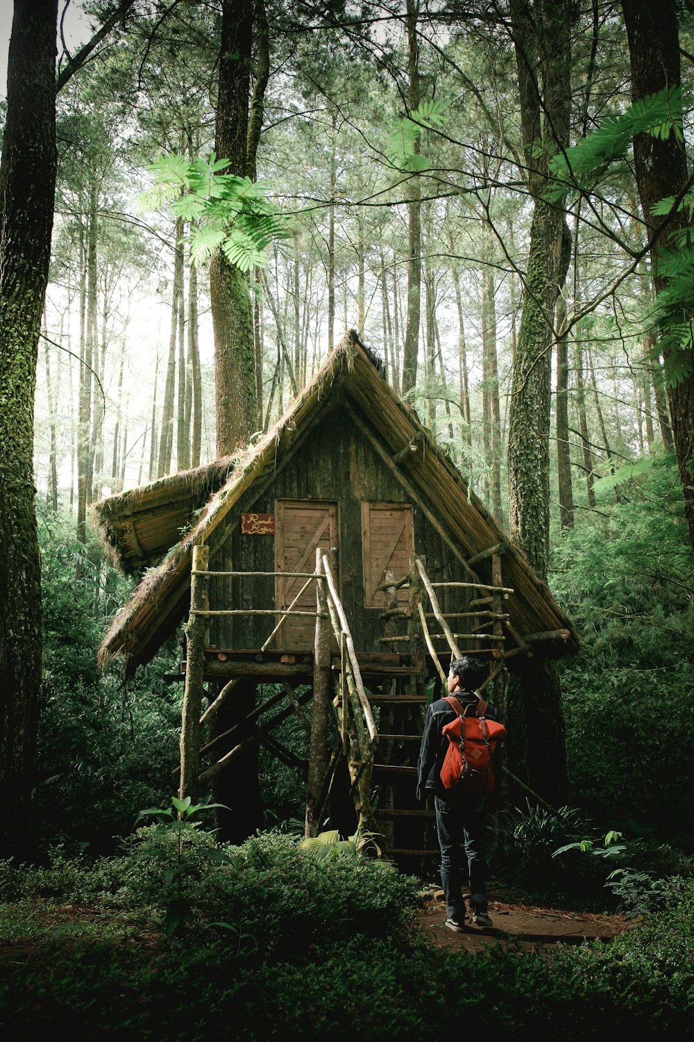 빽빽한 숲 한가운데에 있는 목조 주택 앞에 있는 남자
