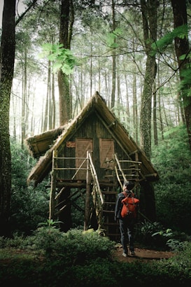 A small rustic treehouse nestled among tall trees in a dense forest. The treehouse is elevated on wooden stilts with a sloped thatched roof and simple wooden railing. A person stands at the base, wearing a red backpack, gazing up at the treehouse.
