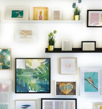 assorted-color framed paintings on the wall