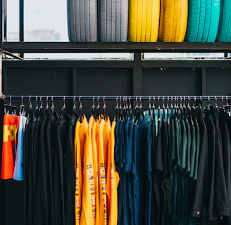 assorted-color clothes hanged on rack below six assorted-color ties