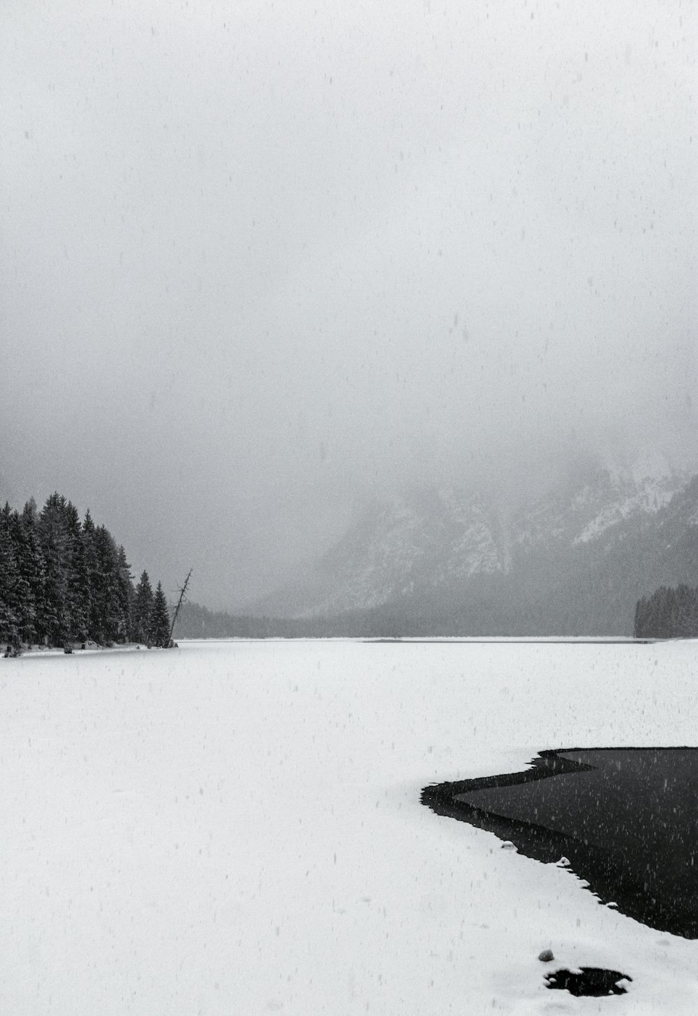 snowy field beside trees and mountain under foggy sky