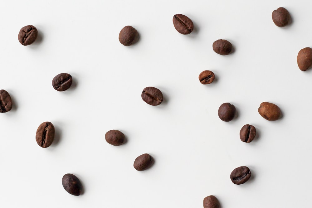 茶色のコーヒー豆ロット
