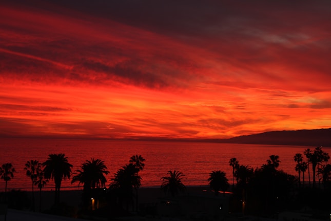 A breathtaking sunset over the ocean, with vibrant red and orange hues filling the sky. Silhouetted palm trees are visible against the colorful backdrop, and gentle waves can be seen in the water.