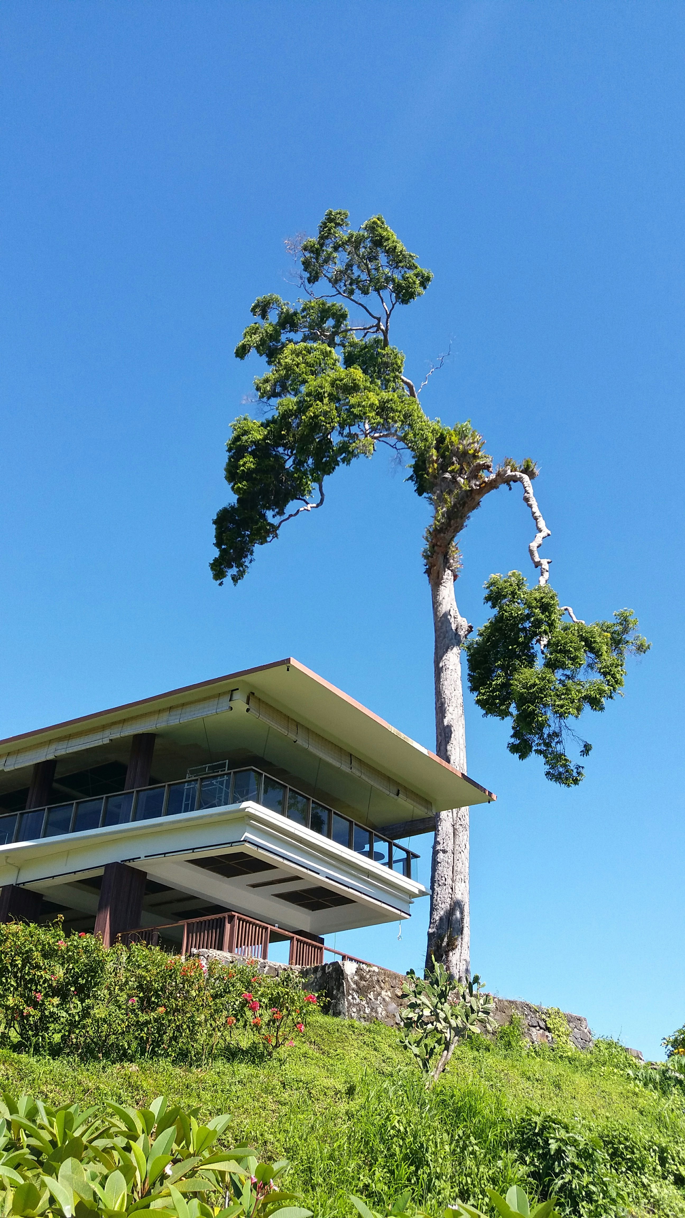 Stylish Roofing Solutions