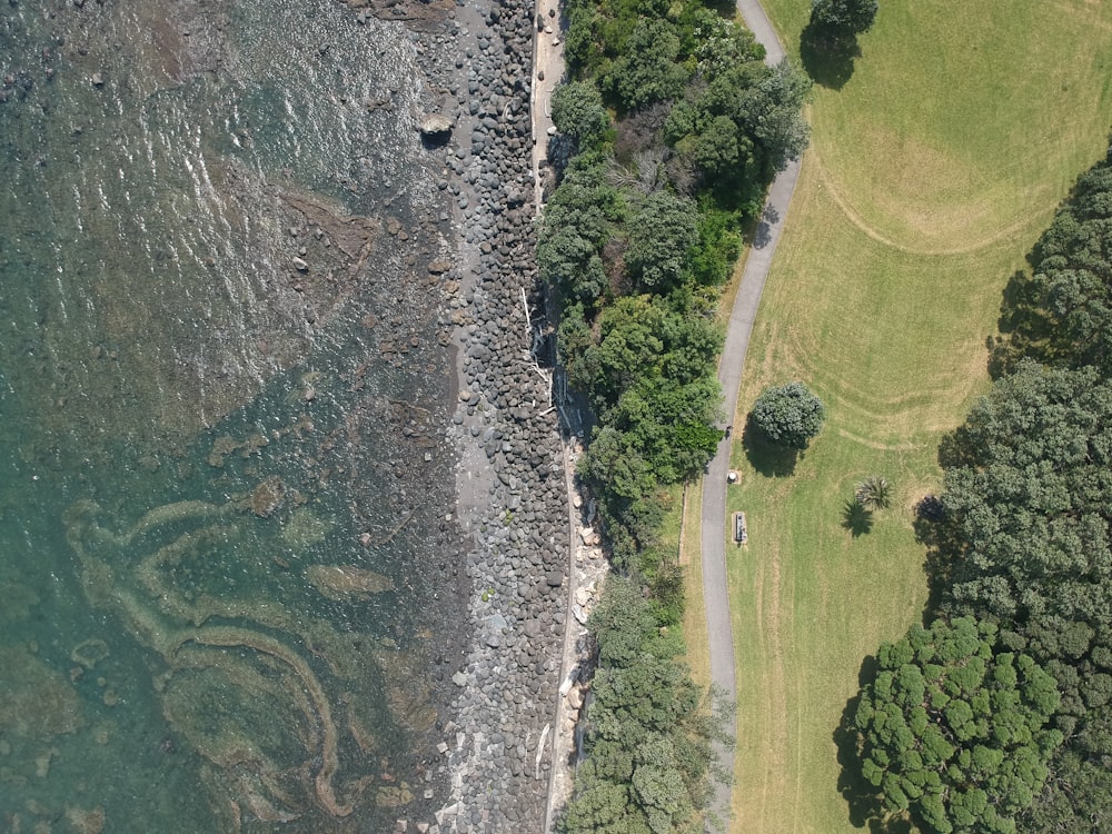 aerial shot of body of water beside trees and road