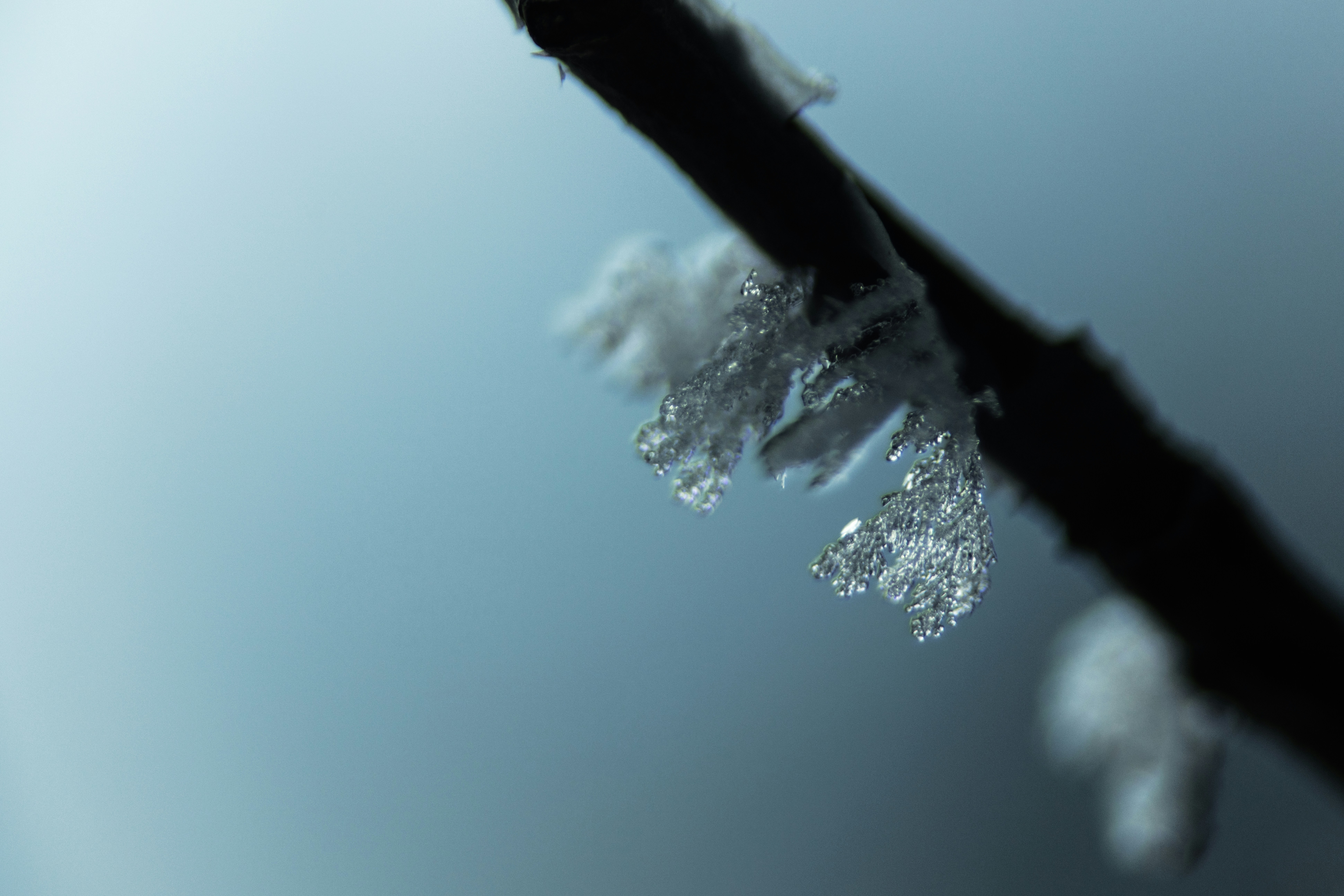 Photo by worldsbetweenlines