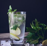 clear glass cup filled with water and lemon