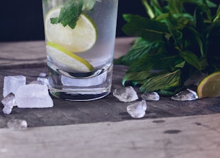 clear glass cup filled with water and lemon