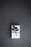 Close-up of a gift box with a small plant inside, wrapped with natural twine.