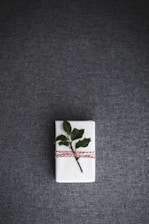 A single white gift box wrapped with a red and white twine, topped with a small branch with green leaves, placed on a dark grey textured surface.