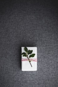 An artfully wrapped gift box in deep green with a subtle rose red ribbon, resting on a clean white surface.