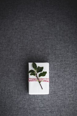 A single white gift box wrapped with a red and white twine, topped with a small branch with green leaves, placed on a dark grey textured surface.