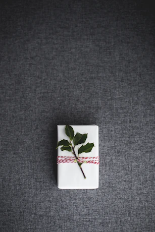 A clean, modern icon representing a gift box with a leaf symbolizing net-zero support.
