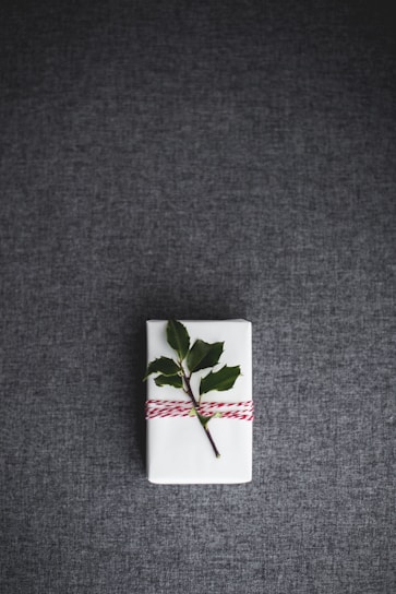 A single white gift box wrapped with a red and white twine, topped with a small branch with green leaves, placed on a dark grey textured surface.