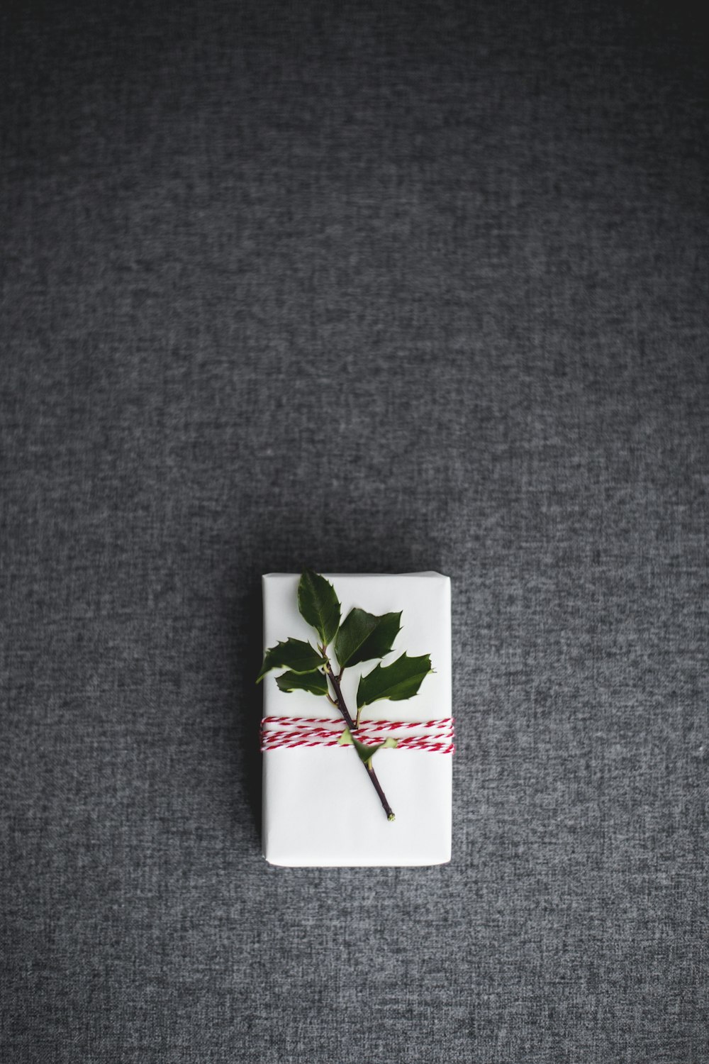feuilles vertes sur boîte blanche posées sur textile gris