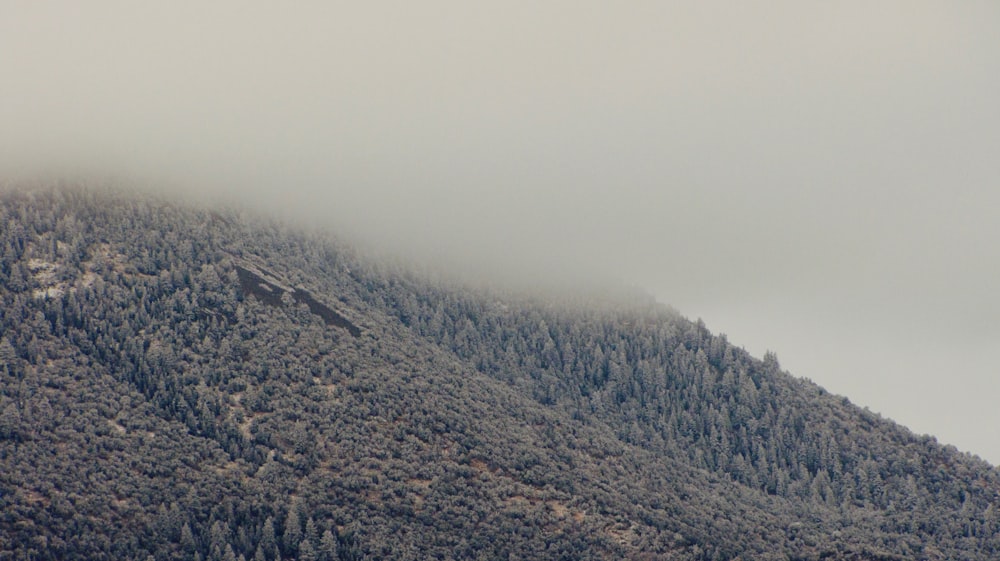 Photographie aérienne de Foggy Mountain