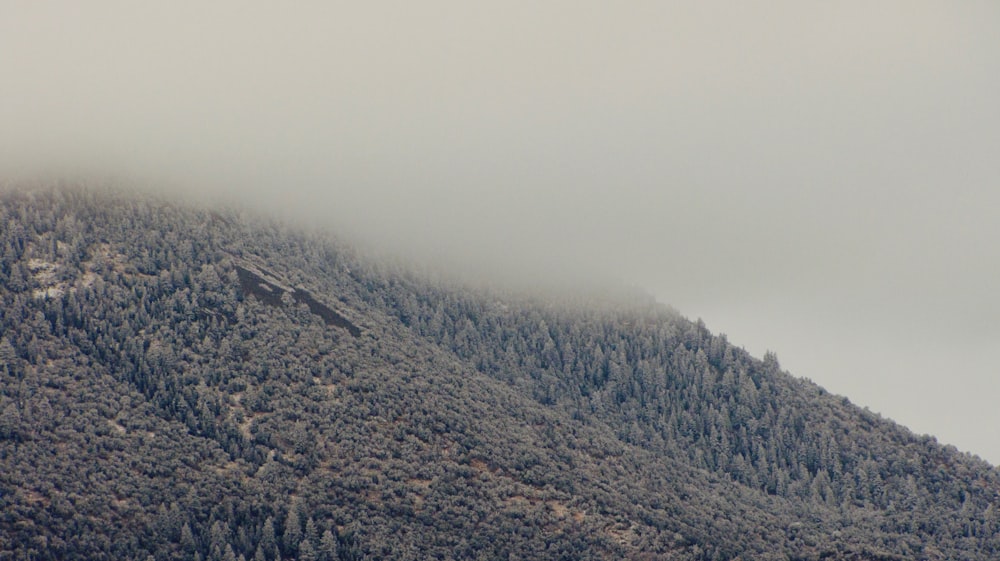 aerial photography of foggy mountain