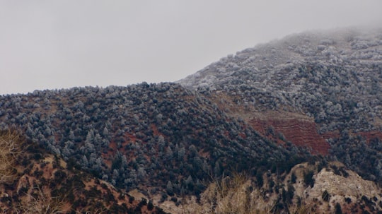 landscape photography of mountain with fogs in Cedar City United States