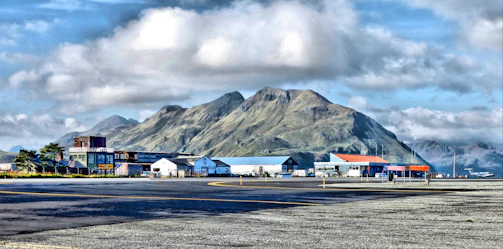 A panoramic shot of multiple hangars lined up at Aero Country Airport, showcasing Skyforge's craftsmanship.