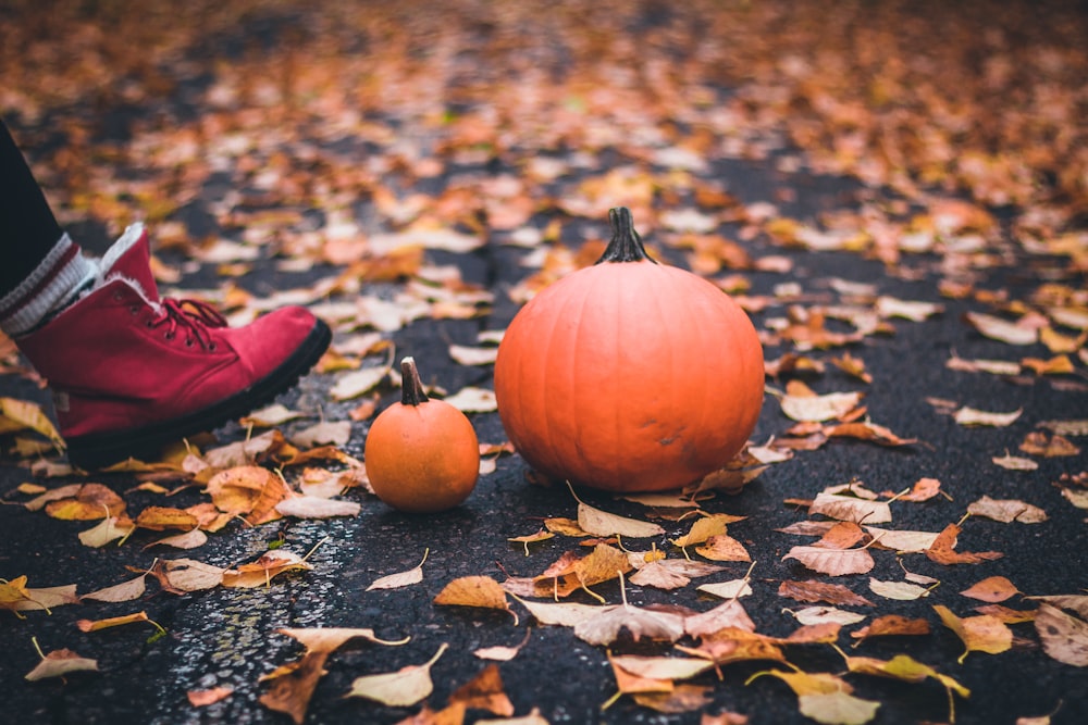 orange pumpkin