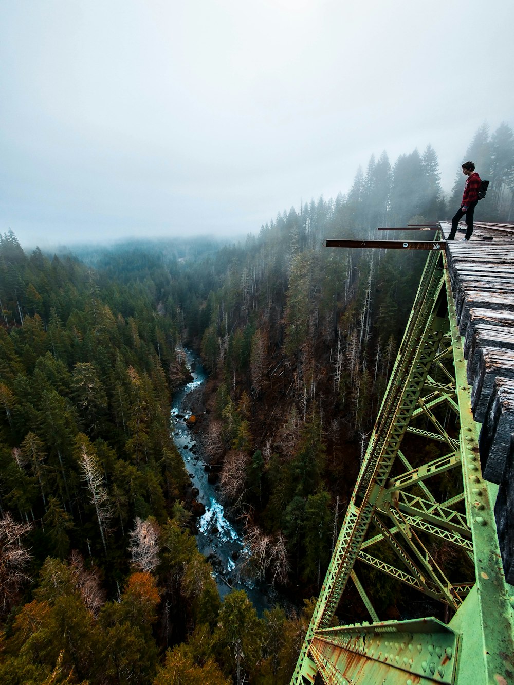 man stands on brown and green building trusses