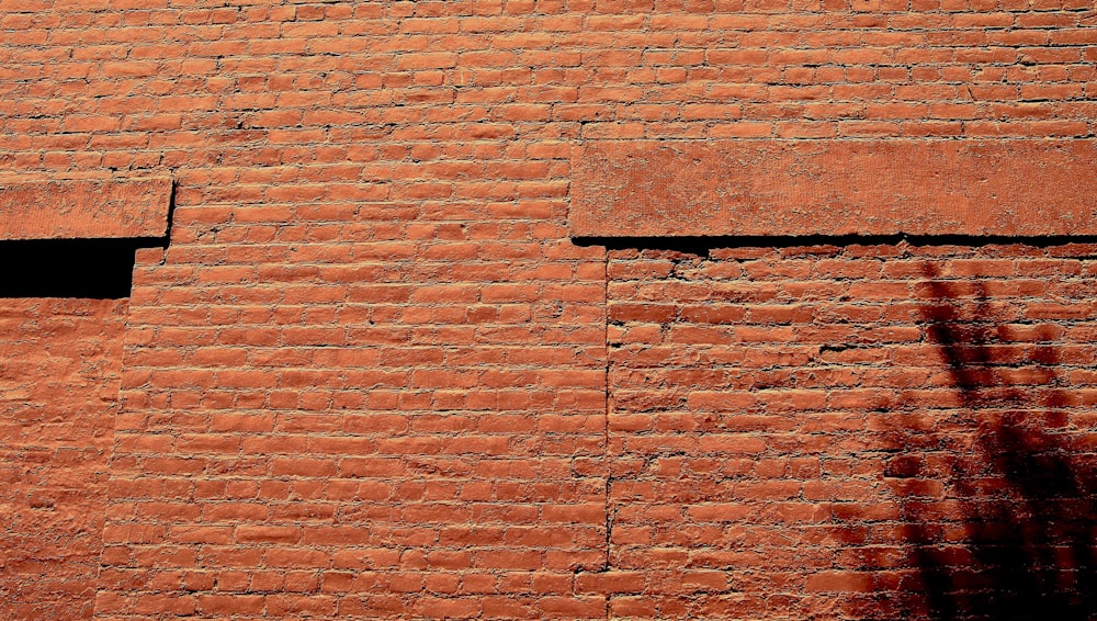 selective photograph of brick wall