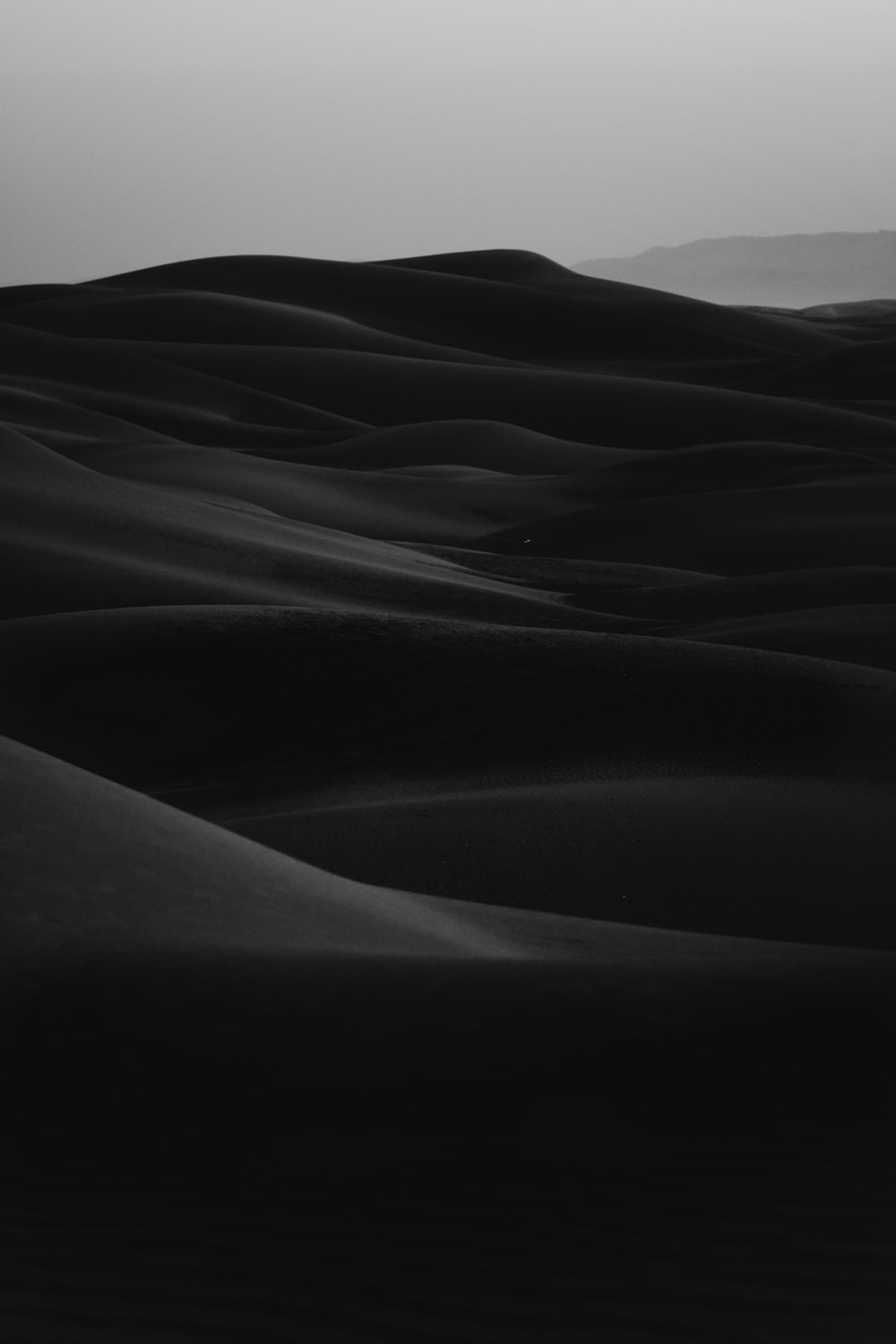 Foto in scala di grigi del deserto