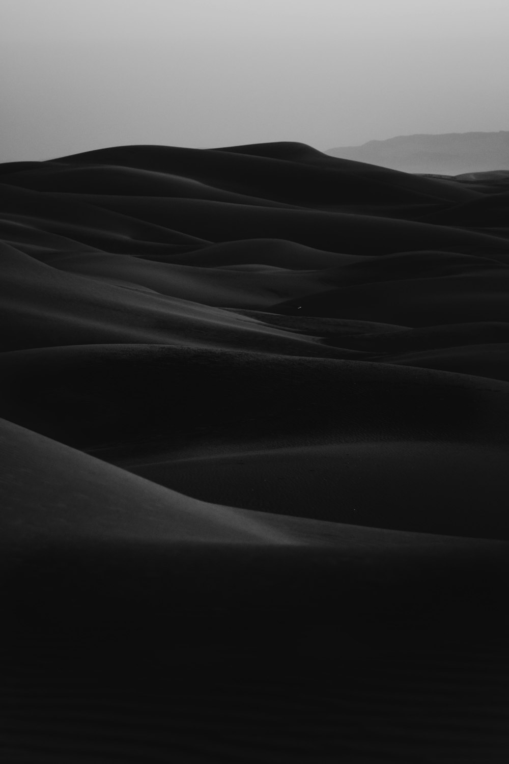 foto in scala di grigi del deserto