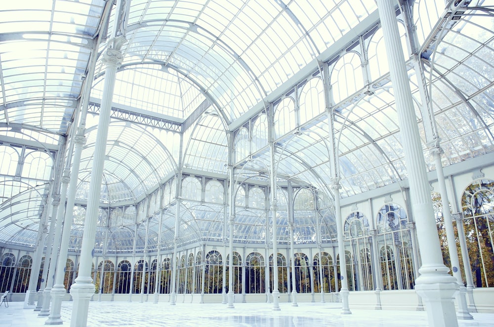 Interior del edificio de cúpula de vidrio transparente