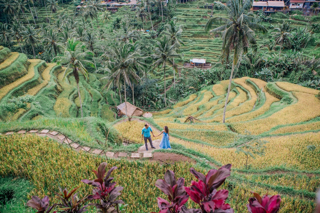 travelers stories about Highland in Tegallalang Rice Terrace, Indonesia