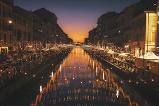 reflective photography of string lights above river