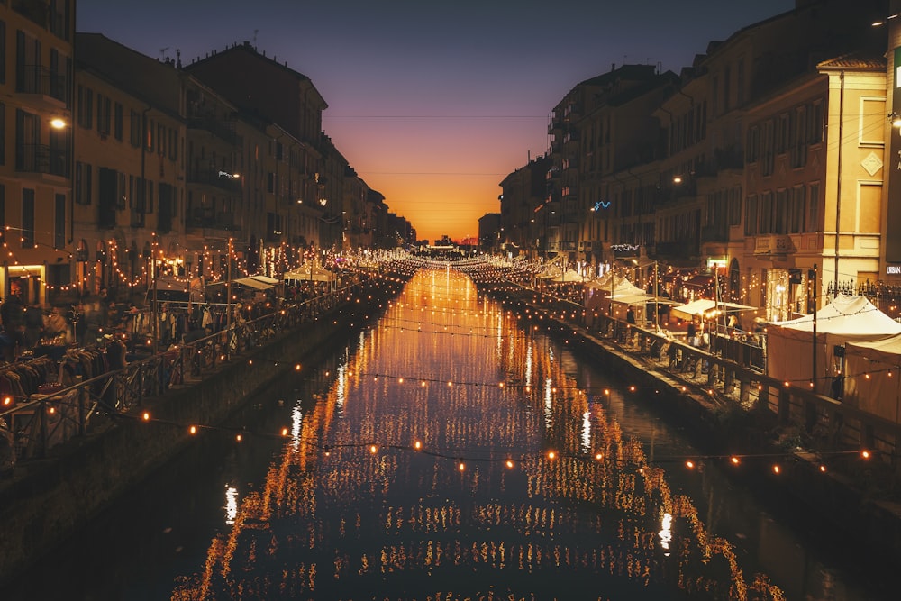 reflective photography of string lights above river