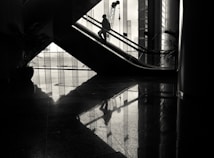 A silhouetted figure is seen ascending an escalator in what appears to be a modern building with large glass windows. The reflective floor creates a mirrored effect of the figure and the surrounding architecture. Potted plants and a crane outside the window are also visible.