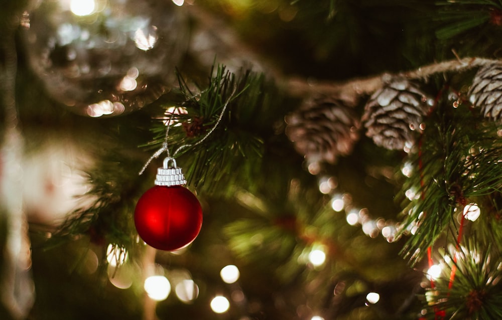 fotografia de foco raso de bauble vermelho