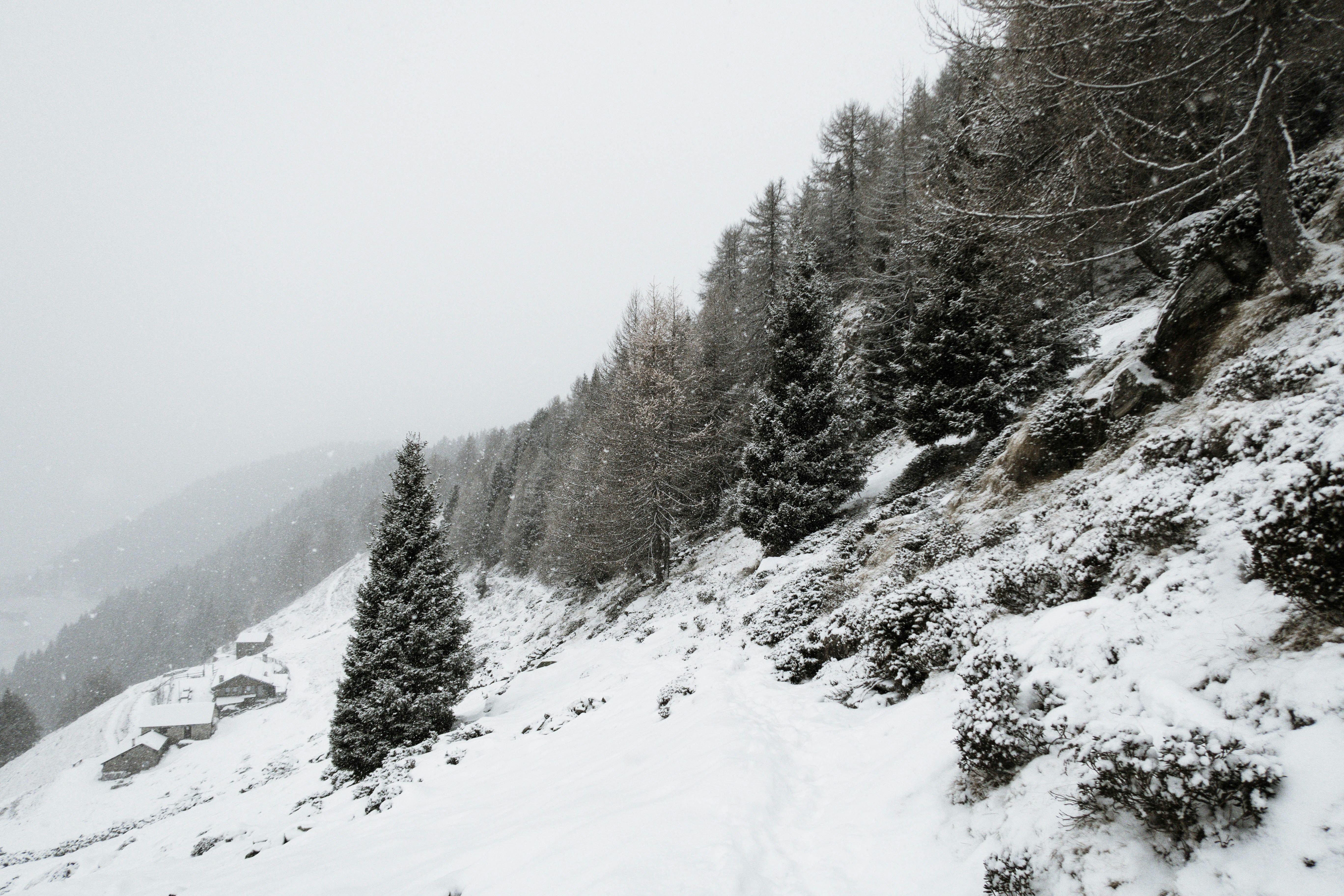 Photo by conti_photos