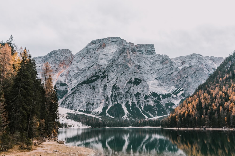 Specchio d'acqua vicino alla montagna