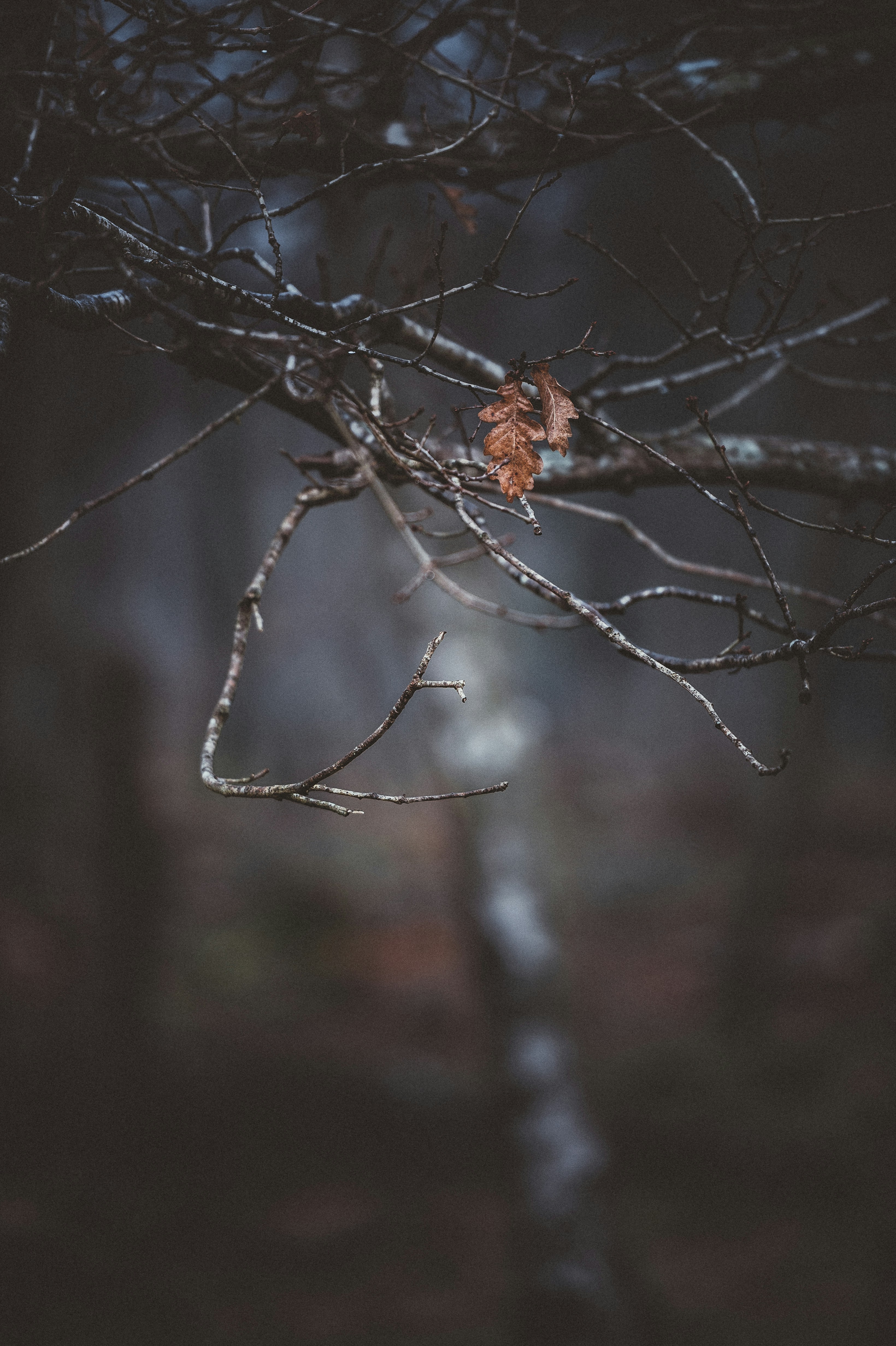 Photo by anniespratt