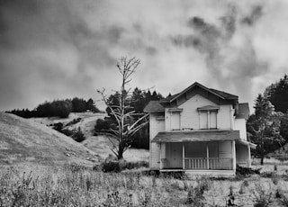 grayscale photography of wooden house