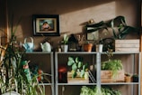 landscape photo of assorted-variety plate on rack