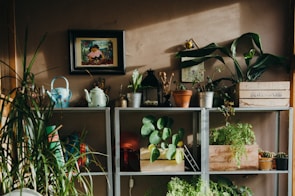 landscape photo of assorted-variety plate on rack