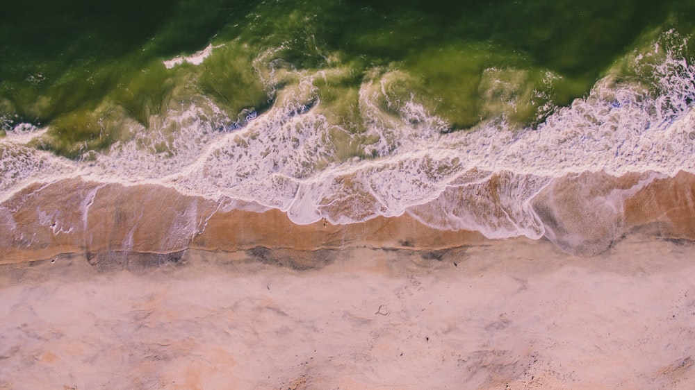 aerial photo of the shore and large body of water