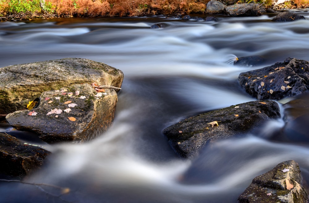 black rocks on river