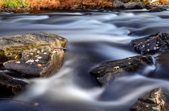 black rocks on river in Killarney Canada