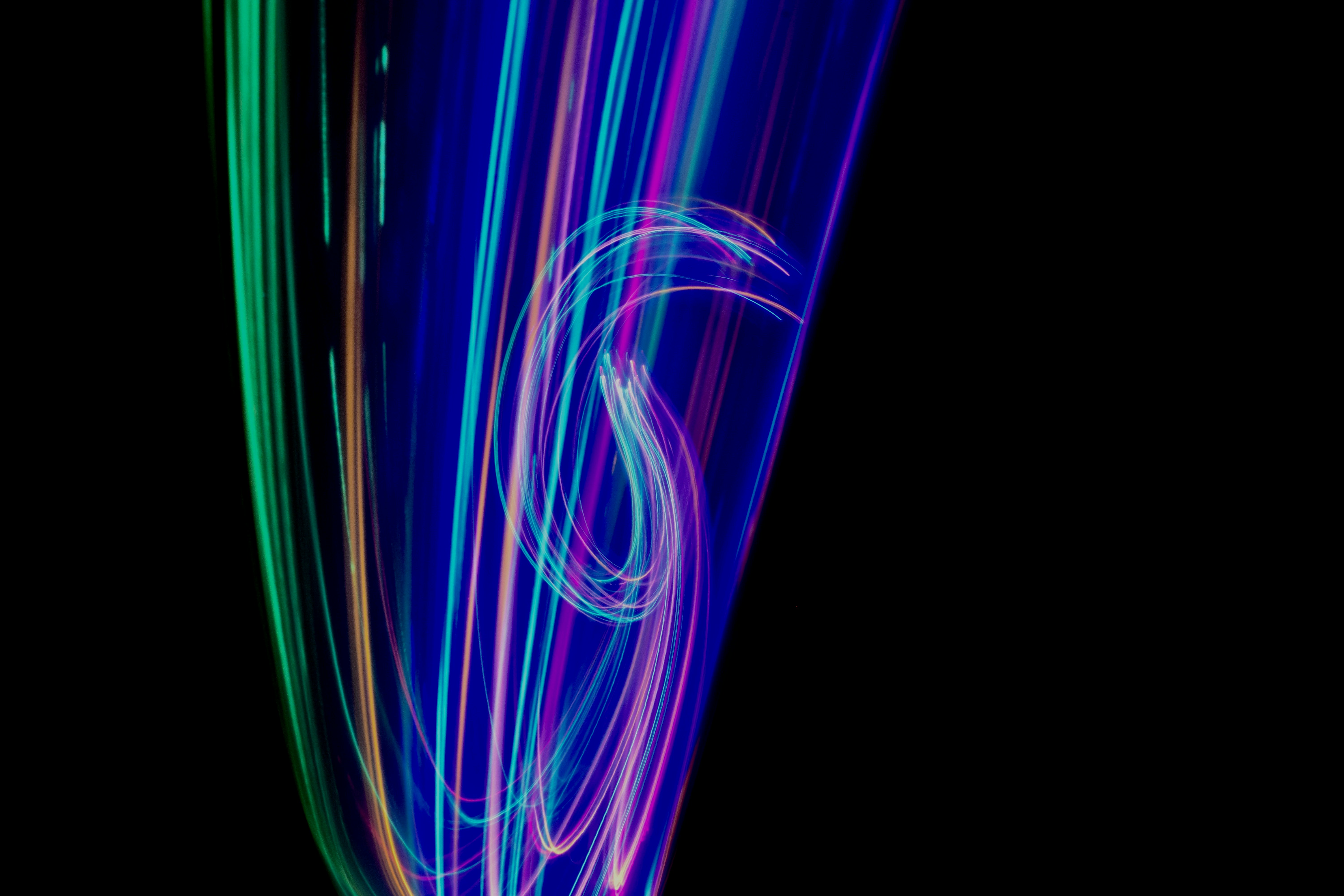 Paradise Lost em português