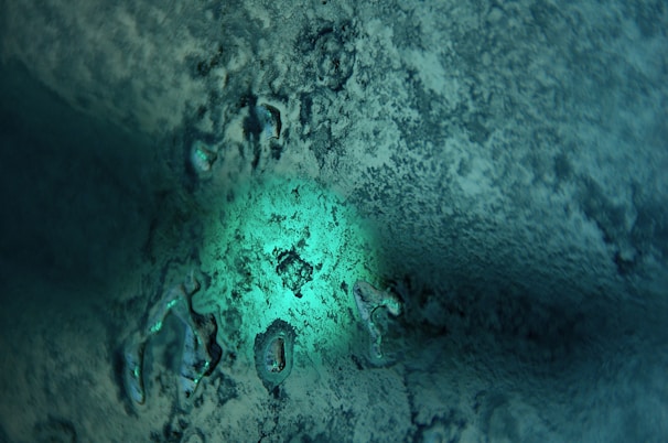 Frosted glass card glowing softly with emerald bioluminescent light over a minimalist textile pattern.